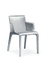 Vetroresina della collinetta di Walter della sedia del Gio che pranza la schiuma della sedia modellata con il Subframe d'acciaio fornitore
